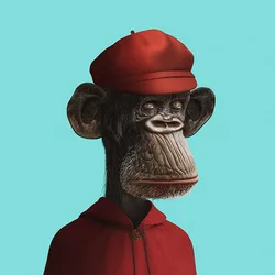 Cool-ape #31