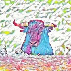 Bitcoin Bulls #2