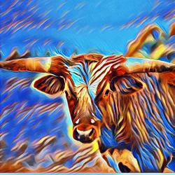 Bitcoin Bulls #5