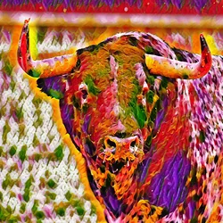 Bitcoin Bulls #18