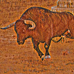 Bitcoin Bulls #36