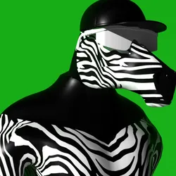 3D Zebras #1