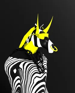 3D Zebras #66