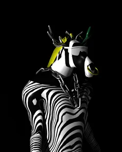 3D Zebras #70