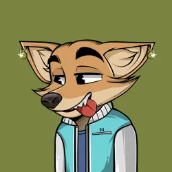 NERD FOX #0120 ⭐ #1
